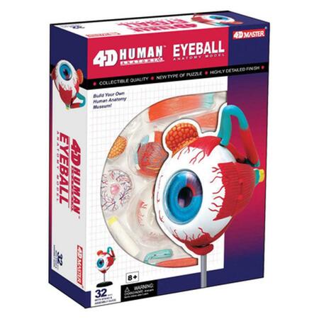 TEDCO TOYS 4D Anatomy Eyeball Model 26054